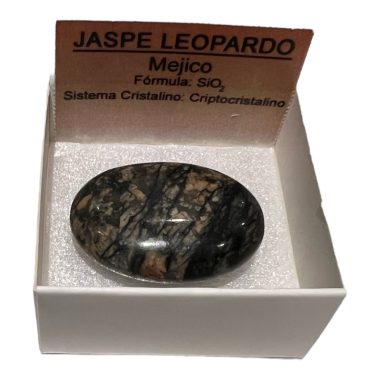 Jaspe leopard