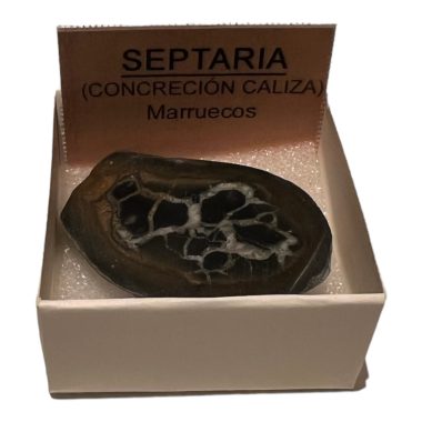 Septaria