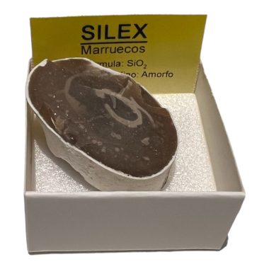 Silex