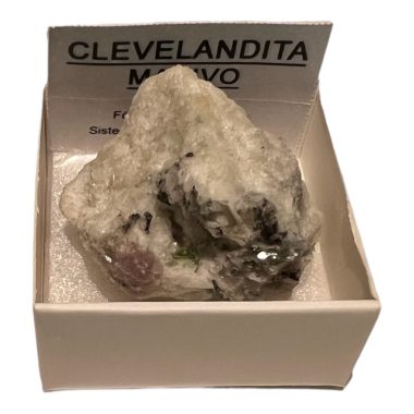 Clevendita