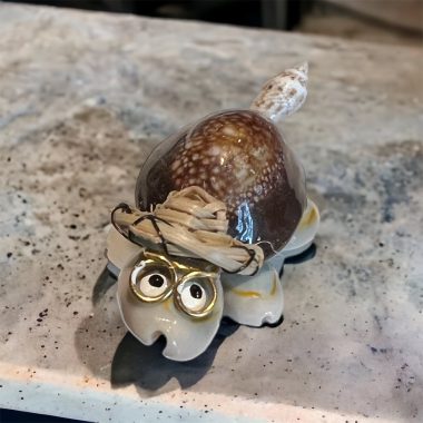 Tortue à lunettes
