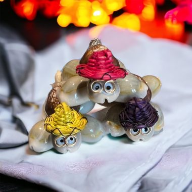Les frères Tortues à lunettes